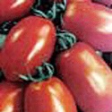 Un vero boom l'import del pomodoro cinese Un vero boom l'import del pomodoro cinese