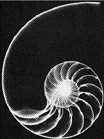 Comunicato: Arte e Matematica Comunicato: Arte e Matematica