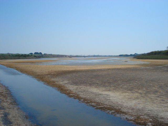 Contrada Concerie - Il Pantano Baronello